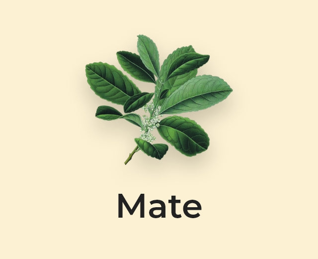 AWAKE MATE BOTTLE